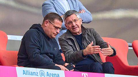 开云登录-穆西亚拉+比朔夫，拜仁版齐达内+帕文？