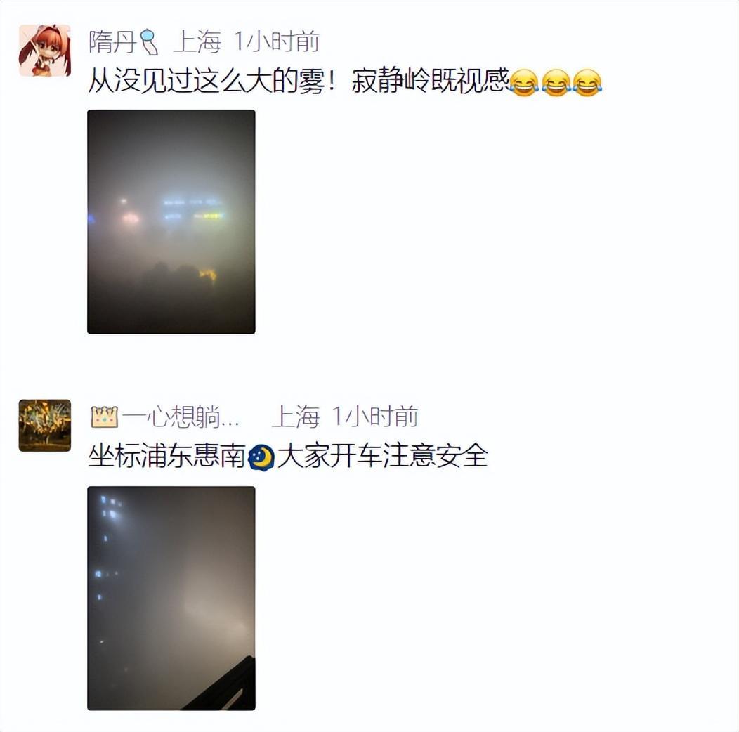 开云APP-上海：入冬以来最强雨雪冰冻将袭！网友：没见过这么大雾，路口竟看不到红绿灯！