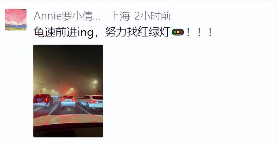 开云APP-上海：入冬以来最强雨雪冰冻将袭！网友：没见过这么大雾，路口竟看不到红绿灯！